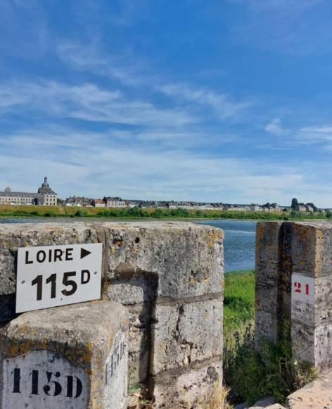 Passage Du Cygne Apartment Blois Luaran gambar